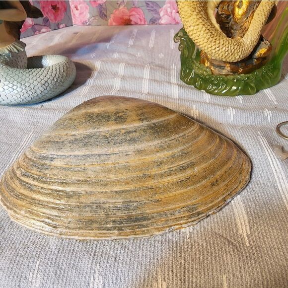 DECOUPAGE  ARE THE THEY? CIRCLES? 4 LEAF CLOVER, WEDDING RING ON A CLAM SHELL - Picture 7 of 7